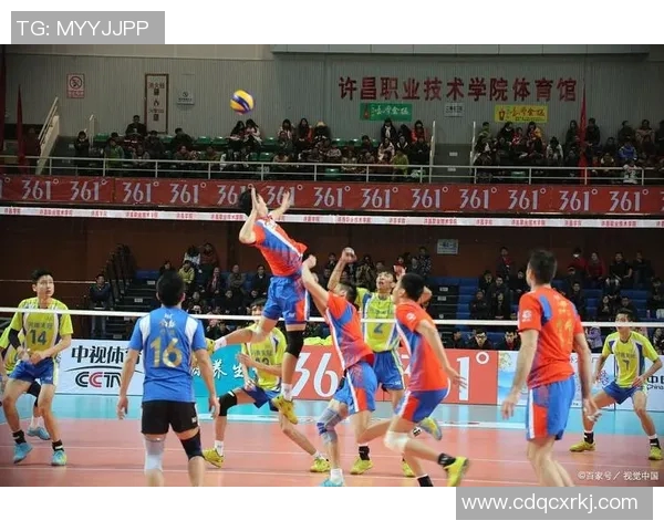 武汉排球队的团队协作之道：如何在赛场上实现默契与胜利